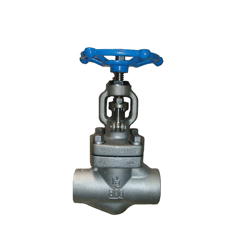 API Forged Steel Globe Valve