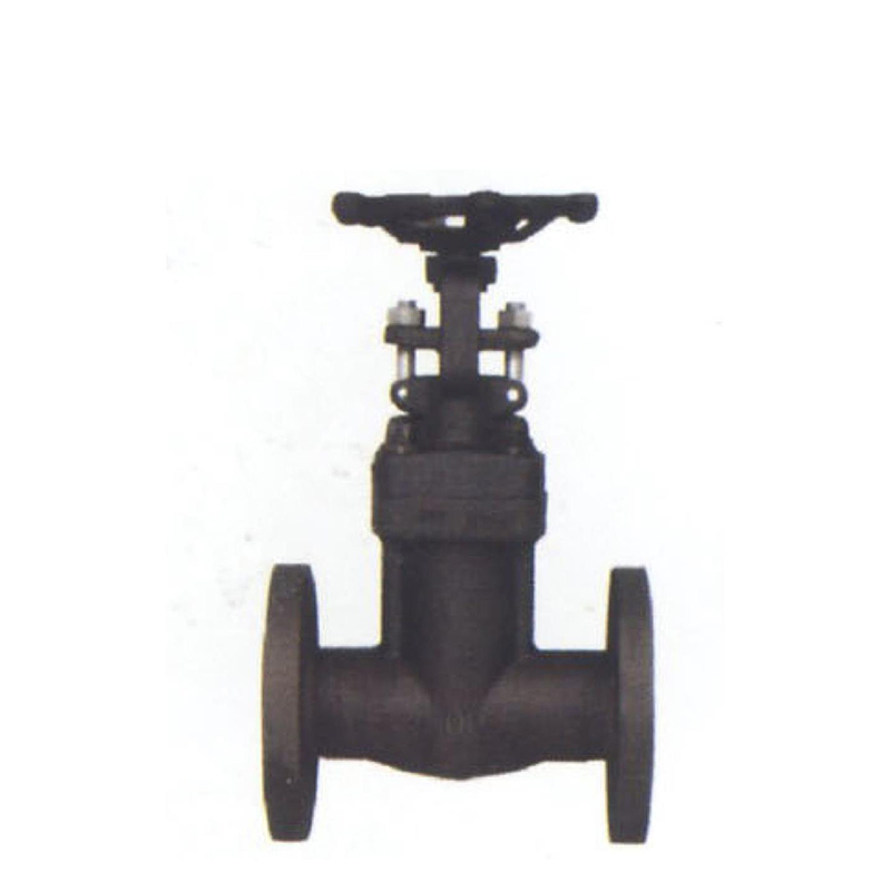 Bellows Gate Valve