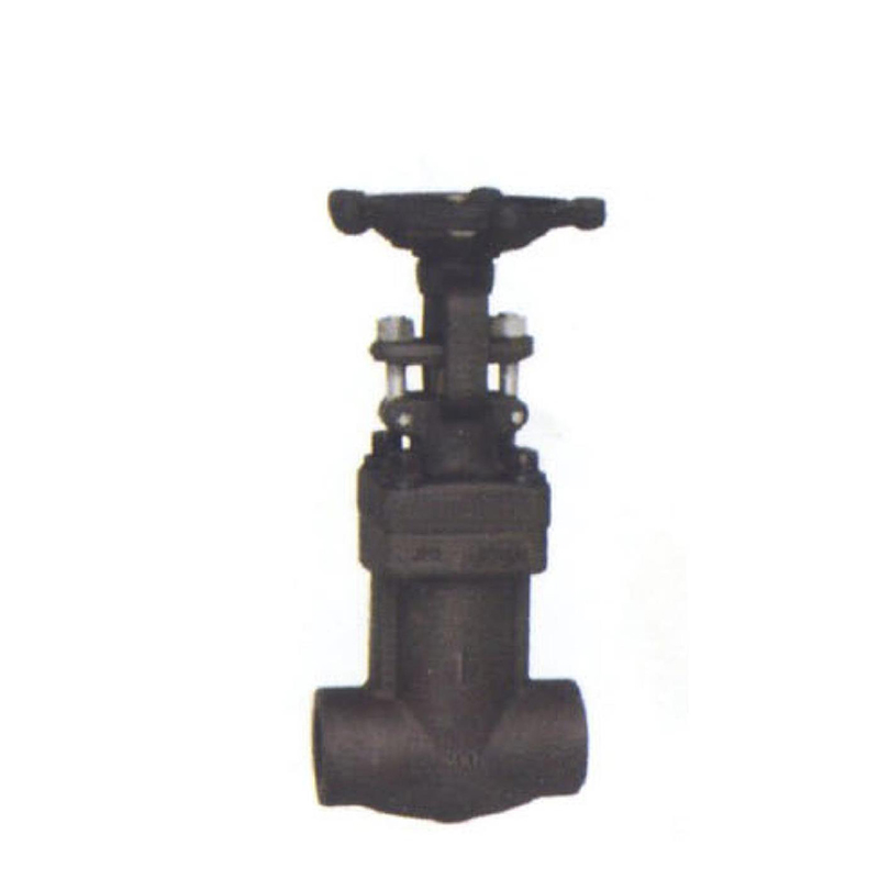 Bellows Gate Valve