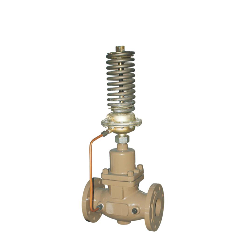 Self-operated differential pressure control valve