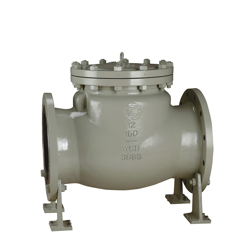 American standard large diameter check valve