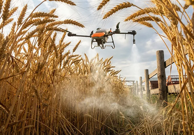Drone Technology Drives Digital Management of Crop Growth
