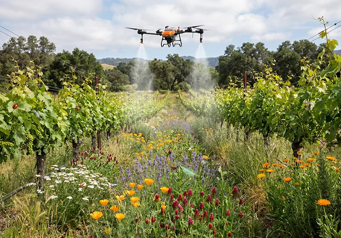 Agricultural Drones for Efficient Biomimetic Pollination