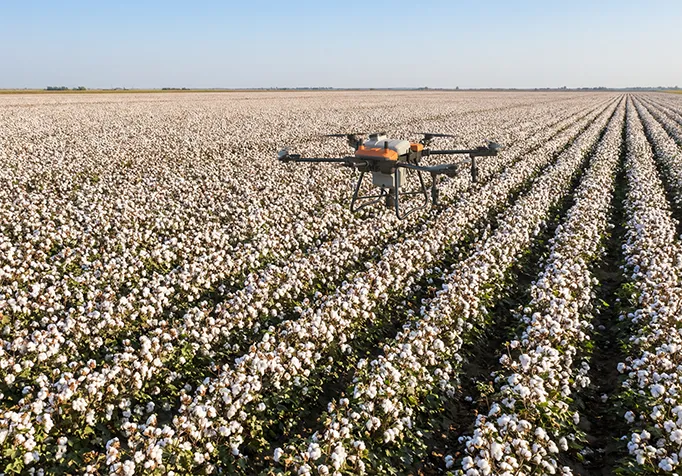 Agricultural drones can accurately identify weeds in complex environments