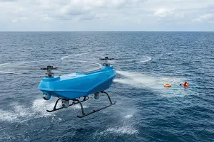 Search and Rescue (SAR)