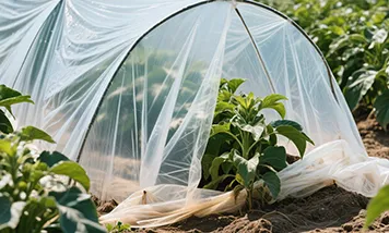 Blown Film Extrusion: Process,  Applications, and Innovations  