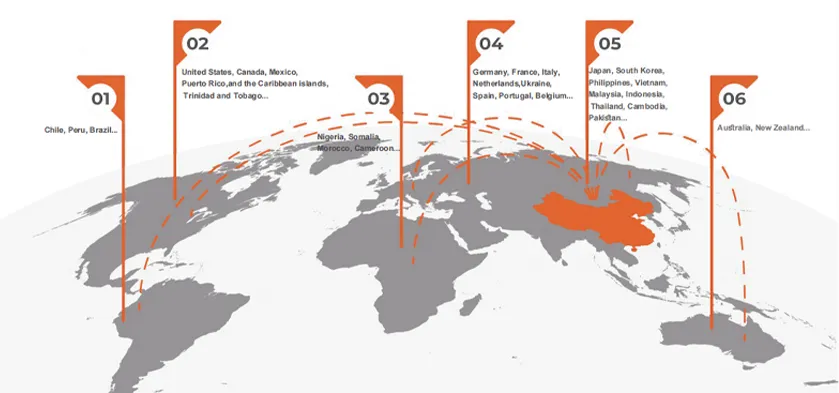 Global Branches Distributtion