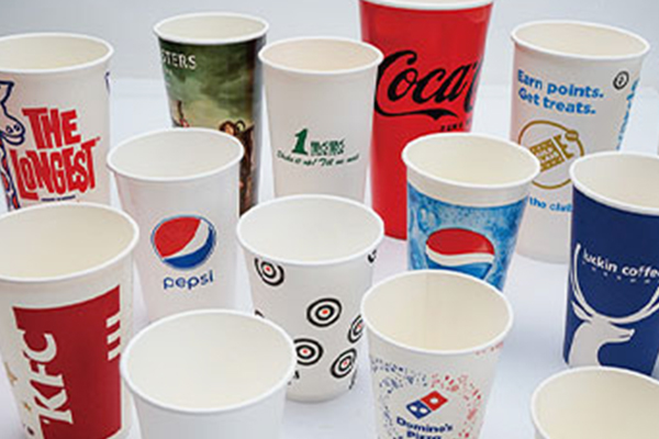 Capacity vs. Size: Choosing Paper Cup Production  Equipment That Fits