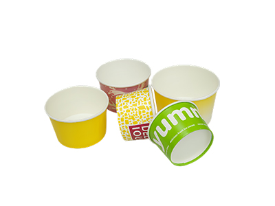 Paper Bowl