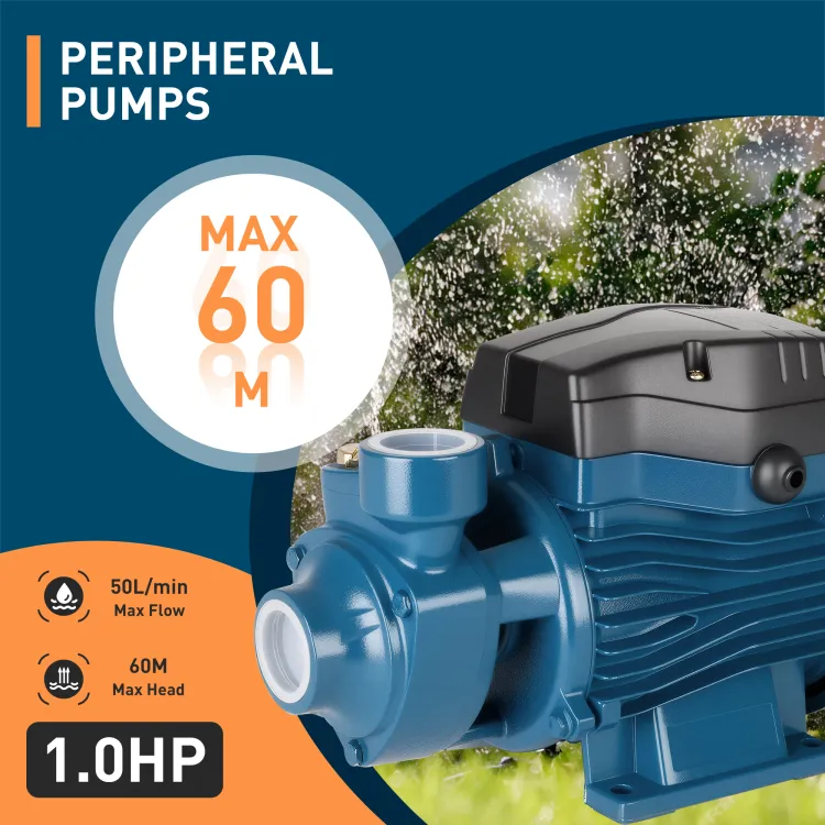 Peripheral Pumps