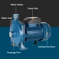 Centrifugal Pumps
