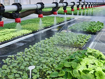 Agricultural and horticultural irrigation