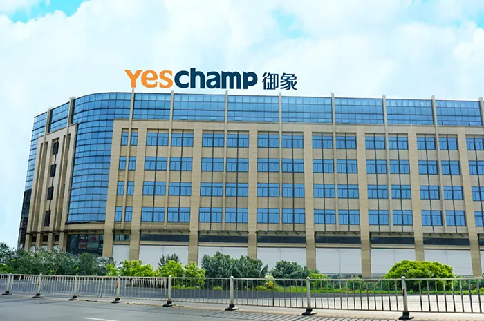 ABOUT Yeschamp