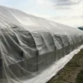 Anti Insect Net