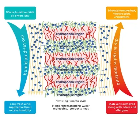 Menred Counterflow Heat Exchanger for Energy Recovery Ventilator Enthalpy Core