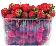 Thermoforming Machine