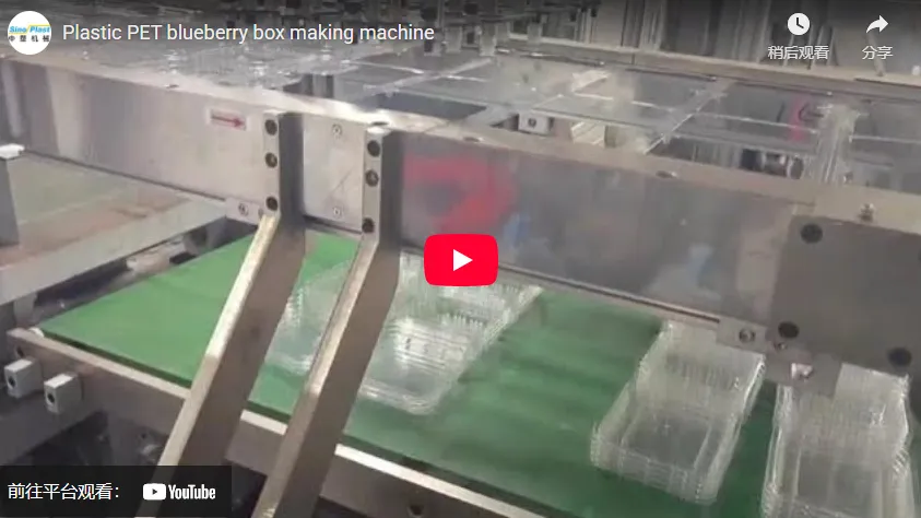 Plastic PET blueberry box making machine