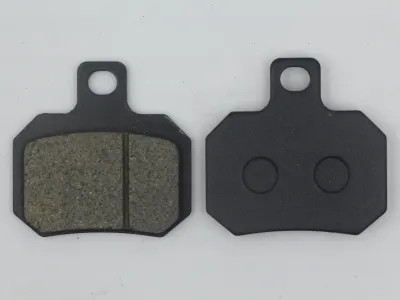 DSP-82 雅迪-1大孔