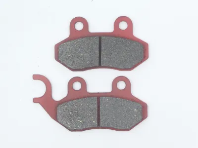 DSP-141 中华夏杏