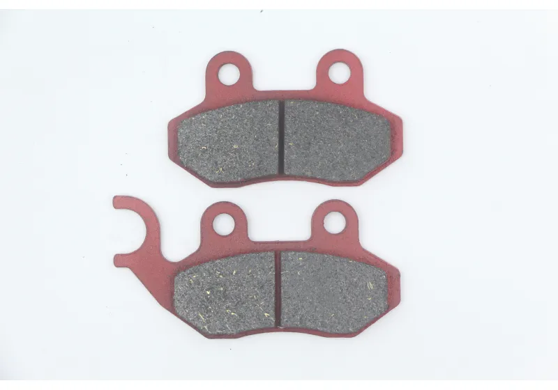 DSP-141 中华夏杏