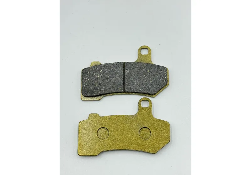 DSP-208 哈雷滑翔