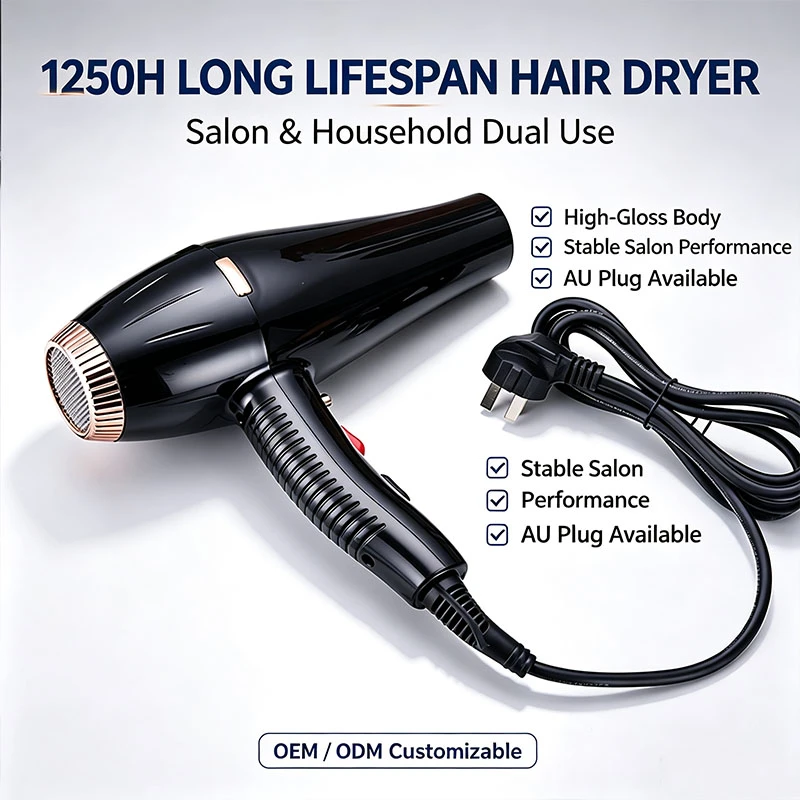  hot seller Bulk 2100W Small Home Hair Dryer, Portable Hair Dryer for Resale & Distribution
