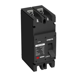 DC1000V 2P 63~320A Molded Case Circuit Breaker MCCB