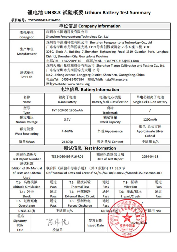 Lithium Battery Test Summary