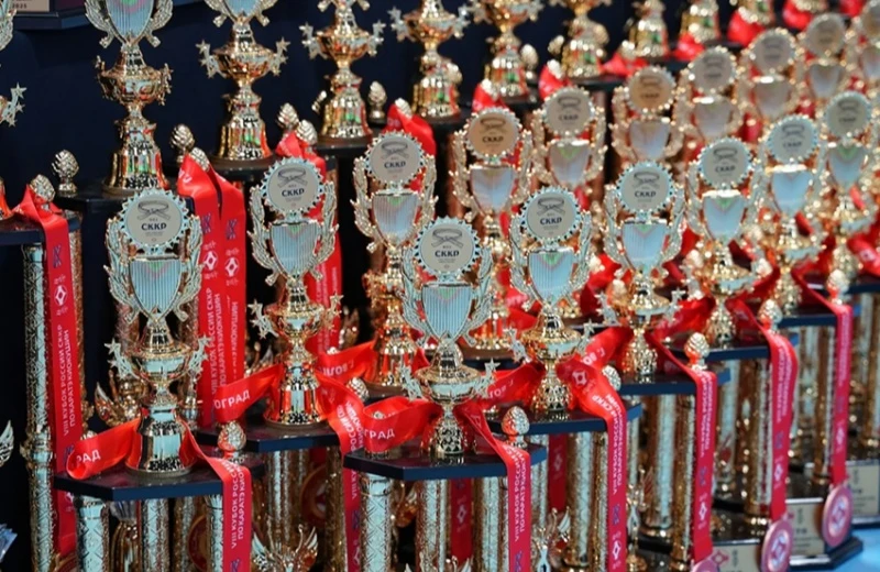 The 8th Russian Kyokushin Karate Cup VIII