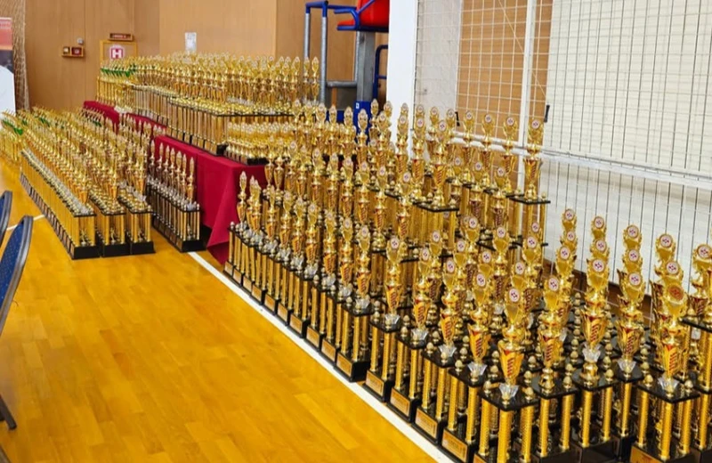 Romania International Kyokushin Cup