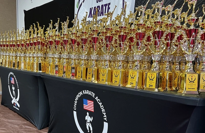 Miya-Kalai Cup Karate Championship