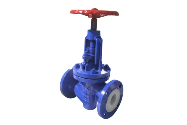 Lined Globe Valve